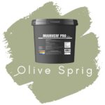 Histor Kleur 2022 Olive Sprig Muurverf Pro